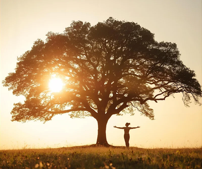 Eine Person steht mit ausgebreiteten Armen unter einem großen Baum im Gegenlicht der Sonne.
