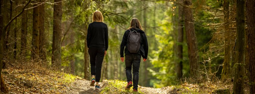 Zwei Menschen gehen gemeinsam durch den Wald bei einer Walk & Talk Sitzung in Leipzig