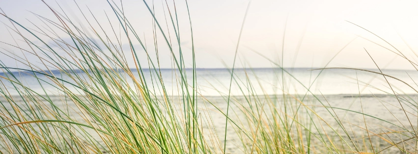Dünengras im Vordergrund mit Blick auf ruhigen Strand und weiten Horizont – Symbol für innere Ruhe und rauchfreies Leben