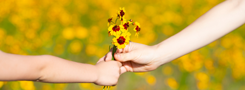 Zwei Hände, die sich Blumen überreichen – Symbol für Vertrauen, Halt und behutsame Begleitung bei Trauma.